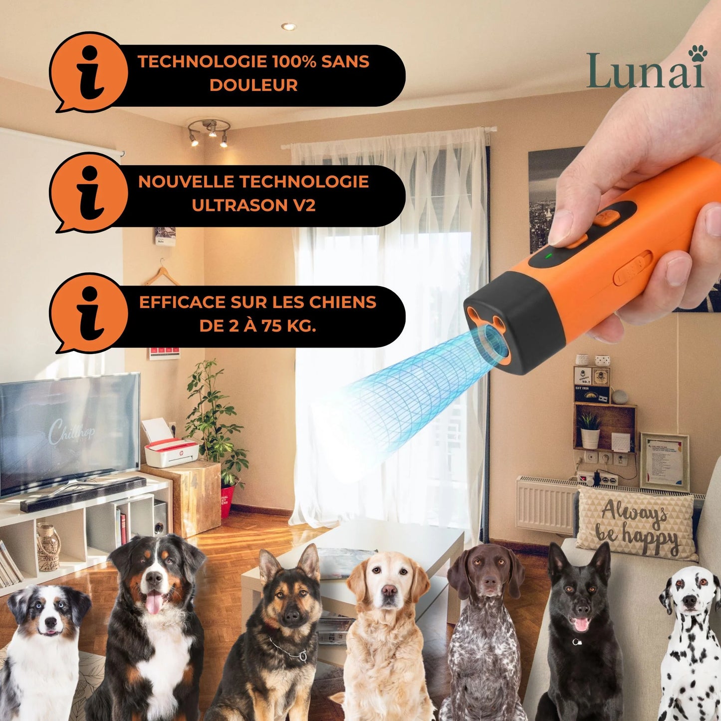 Appareil de Dressage Canin Doux et Sans Douleur