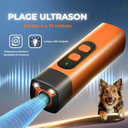 Appareil de Dressage Canin Doux et Sans Douleur