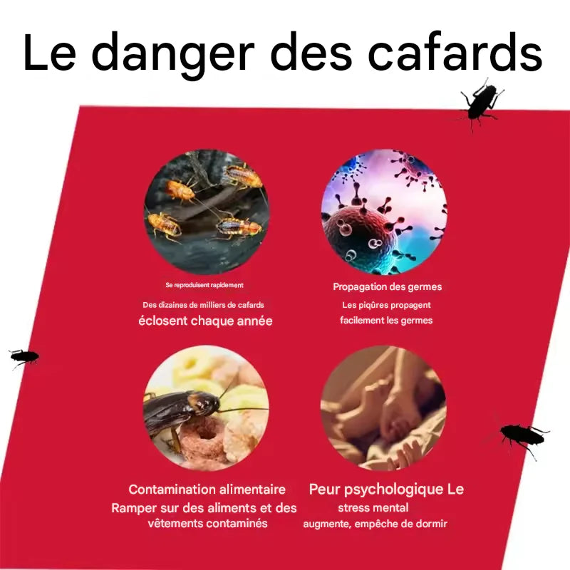 Appât Anti-Cafards Puissant – Piège à Longue Durée