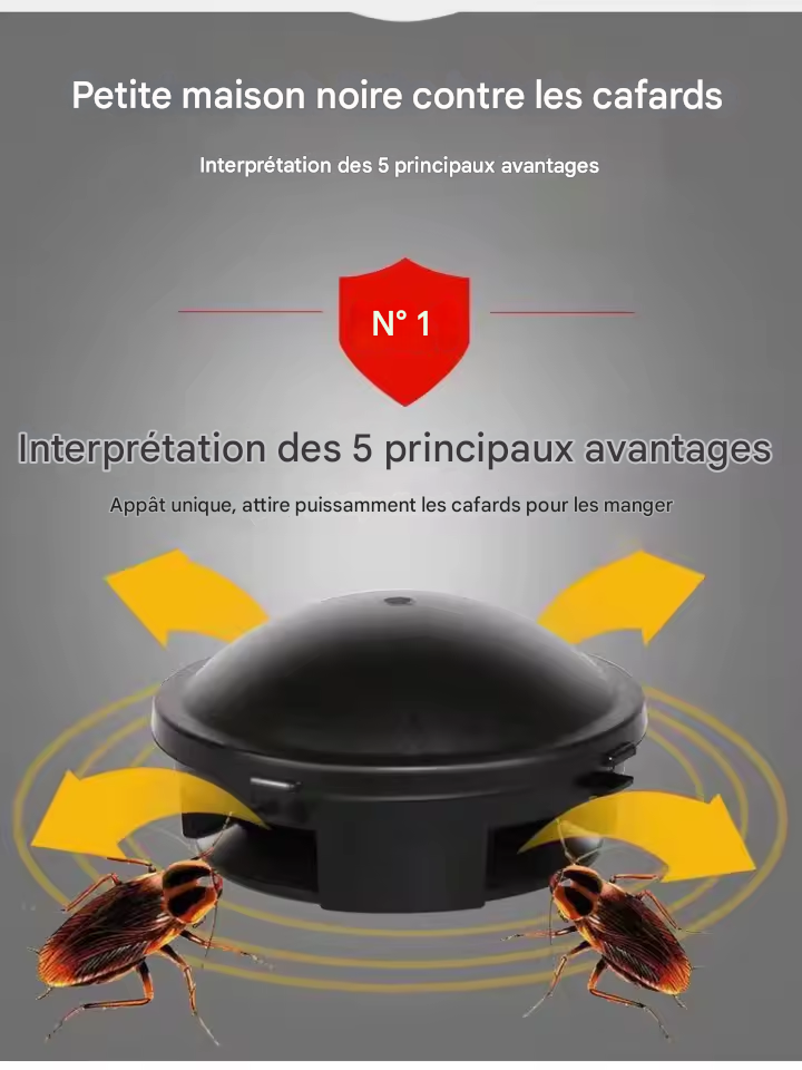 Appât Anti-Cafards Puissant – Piège à Longue Durée
